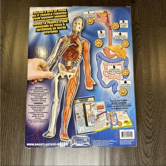SmartLab Toys Squishy Human Body with 21 Removable Body Parts with Anatomy Book - Picture 2 of 3